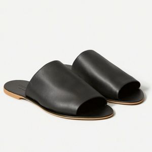 Everlane | Day Slide Sandal